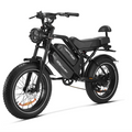 HappyRun G70 Dual Battery Electric Cargo Bike