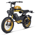 HappyRun G100 Pro 6000W Electric Bike Dual Battery